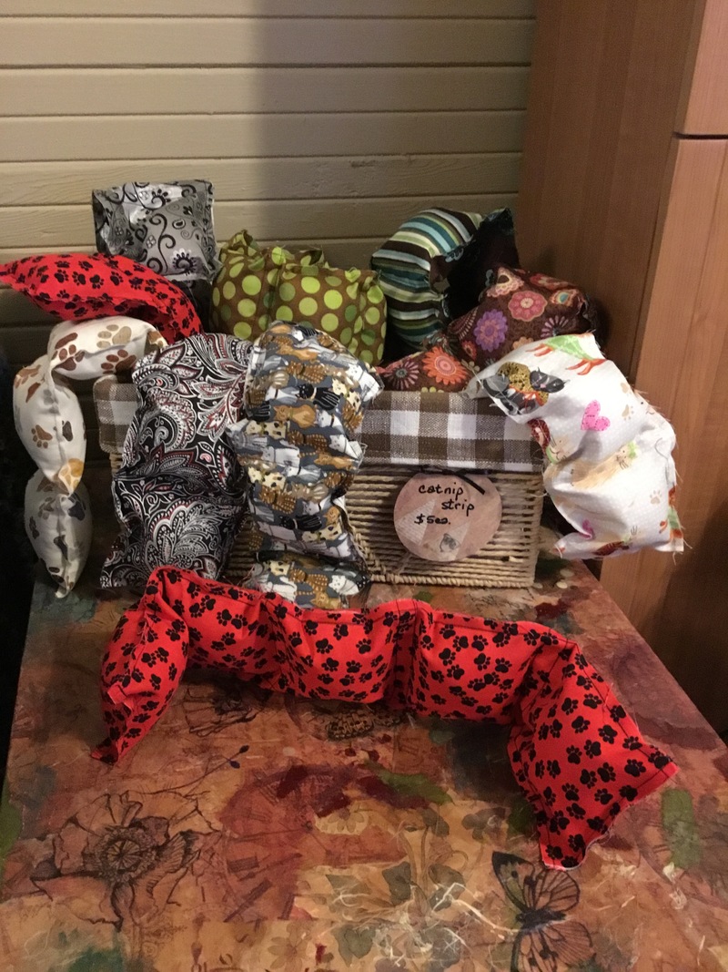 Kitty toys with catnip!